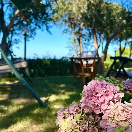 S340 - Sirolo, Nuovo Bilocale In Centro Con Posto Auto * Sirolo